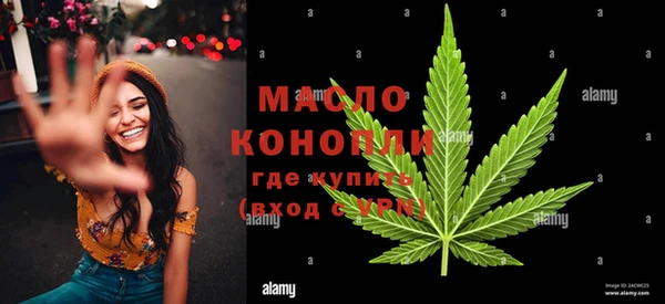 2c-b Бородино