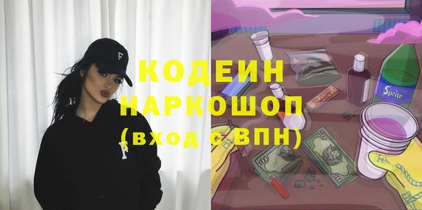 дмт Нягань