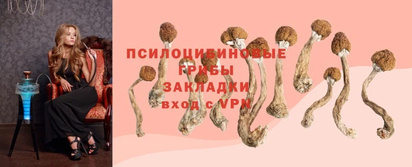 винт Бронницы