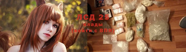 2c-b Бородино