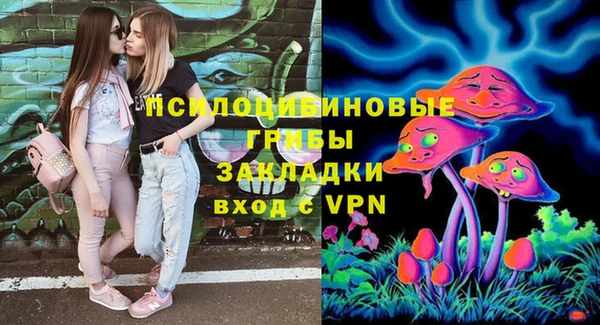 дмт Нягань