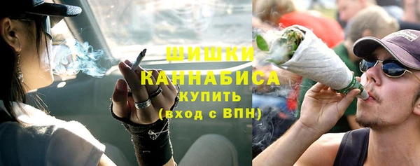 2c-b Бородино