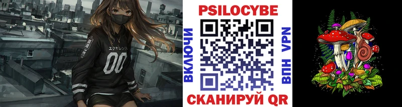 Галлюциногенные грибы Magic Shrooms  где купить наркотик  Череповец 
